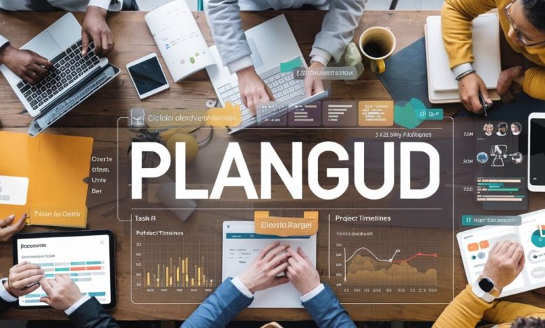 Success Stories of Companies Using Plangud